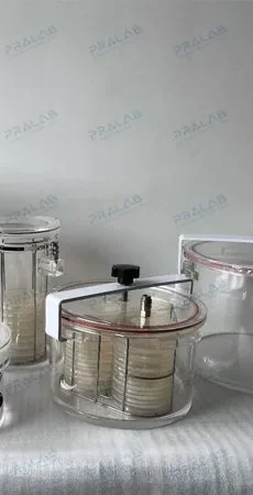 48皿偏心轮锁紧厌氧培养罐